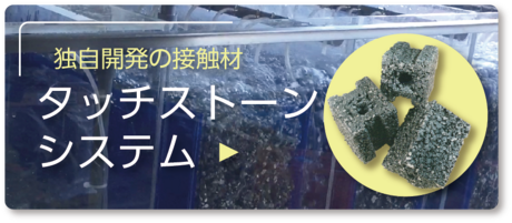 タッチストーンシステム